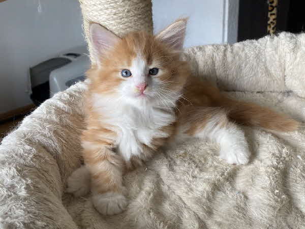 Salvador
